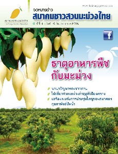 สมาคมชาวสวนมะม่วงไทย ปีที่ 4 ฉบับที่ 10