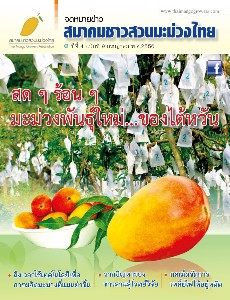 จดหมายข่าว สมาคมชาวสวนมะม่วงไทย 