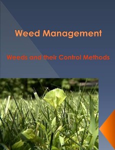 Weeds and their control methods - Formatted