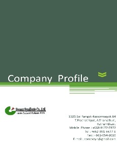 Somax's Company Profile