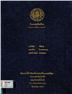 ม่านควบคุมด้วยรีโมท