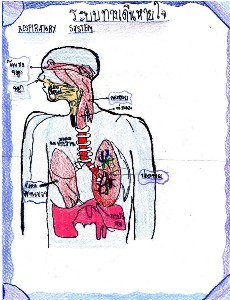 ระบบทางเดินหายใจ